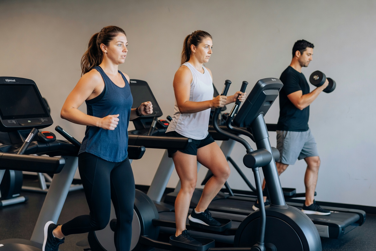 Anytime Fitness franchise business model visual
